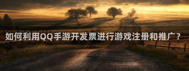 庄闲的玩法：如何利用QQ手游开发票进行游戏注册和推广？