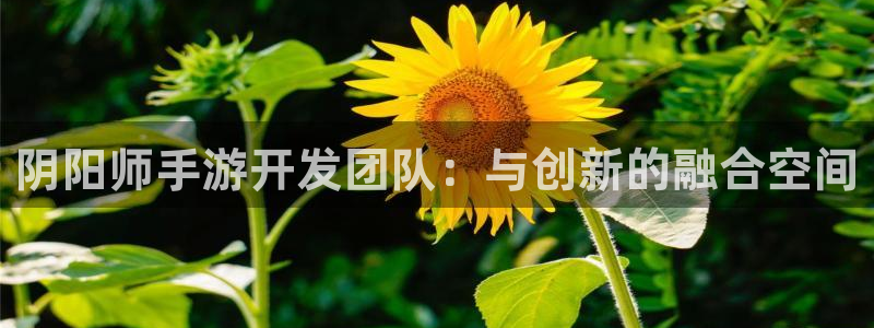 庄闲推算软件安卓：阴阳师手游开发团队：与创新的融合空间