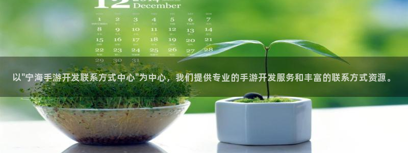 庄闲游戏官方app：以\