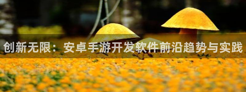 庄闲游戏稳赢方法：创新无限：安卓手游开发软件前沿趋势与实践