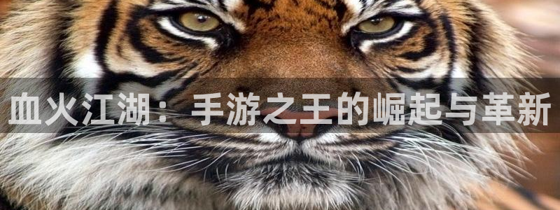 庄闲有什么公式不输：血火江湖：手游之王的崛起与革新