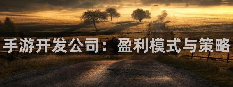 庄闲游戏买对面：手游开发公司：盈利模式与策略