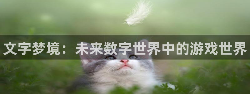 庄闲下载官网：文字梦境：未来数字世界中的游戏世界