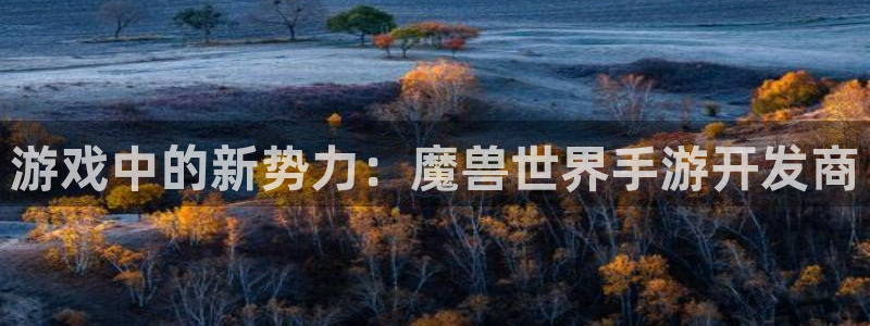 庄闲是什么颜色：游戏中的新势力：魔兽世界手游开发商