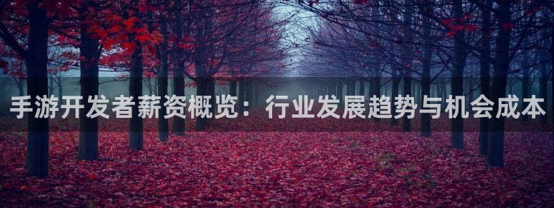 庄闲游戏提取：手游开发者薪资概览：行业发展趋势与机会成本