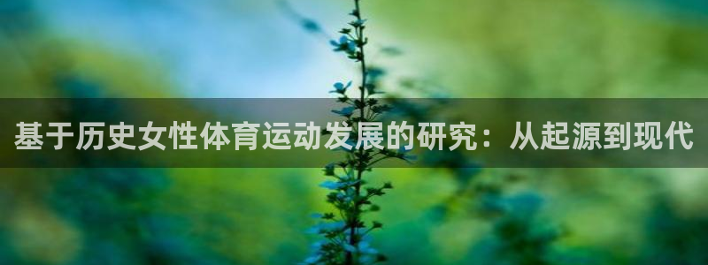 xc体育