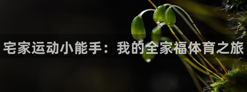 xc体育