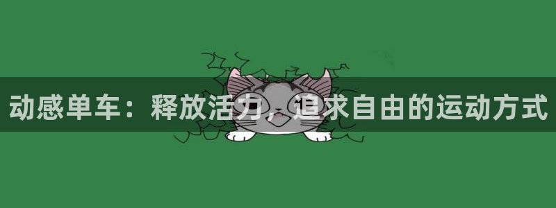 xc体育