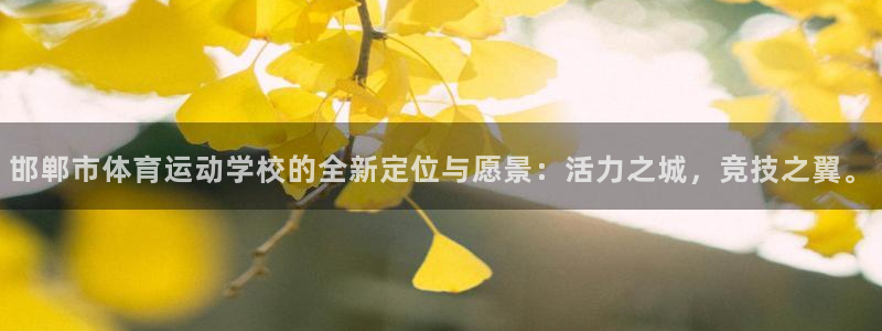xc体育app官方网站