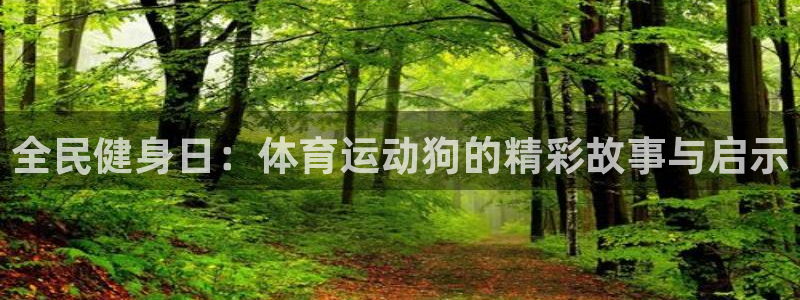 xc体育：全民健身日：体育运动狗的精彩故事与启示