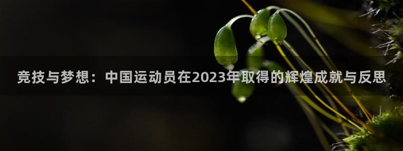 xc体育app官方网站：竞技与梦想：中国运动员在2023年取得的辉煌成就与反思