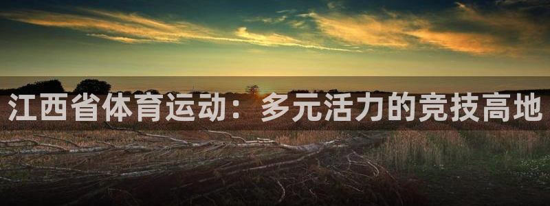 xc体育