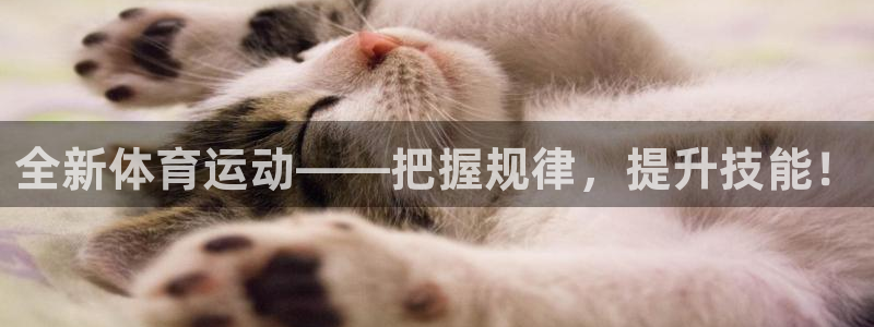 xc体育app官方网站：全新体育运动——把握规律，提升技能！