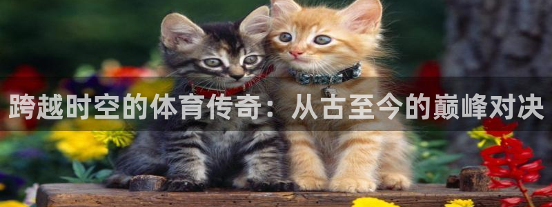 xc体育