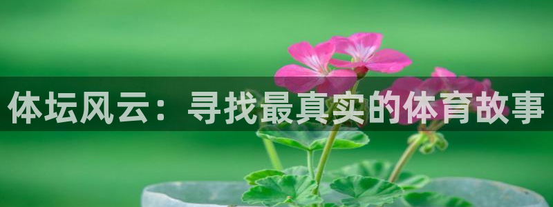 xc体育：体坛风云：寻找最真实的体育故事