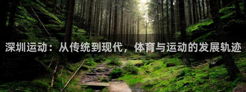 xc体育：深圳运动：从传统到现代，体育与运动的发展轨迹